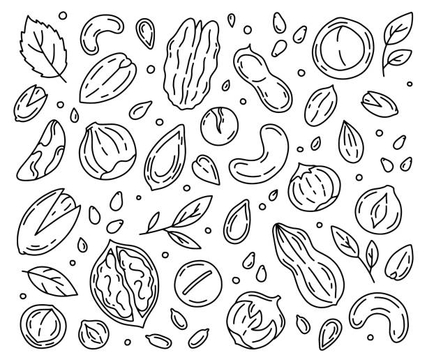 Dry Fruits