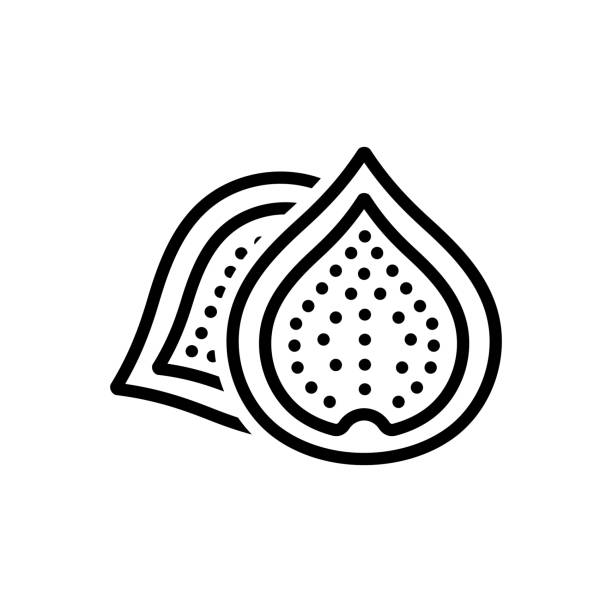 Fig Anjeer